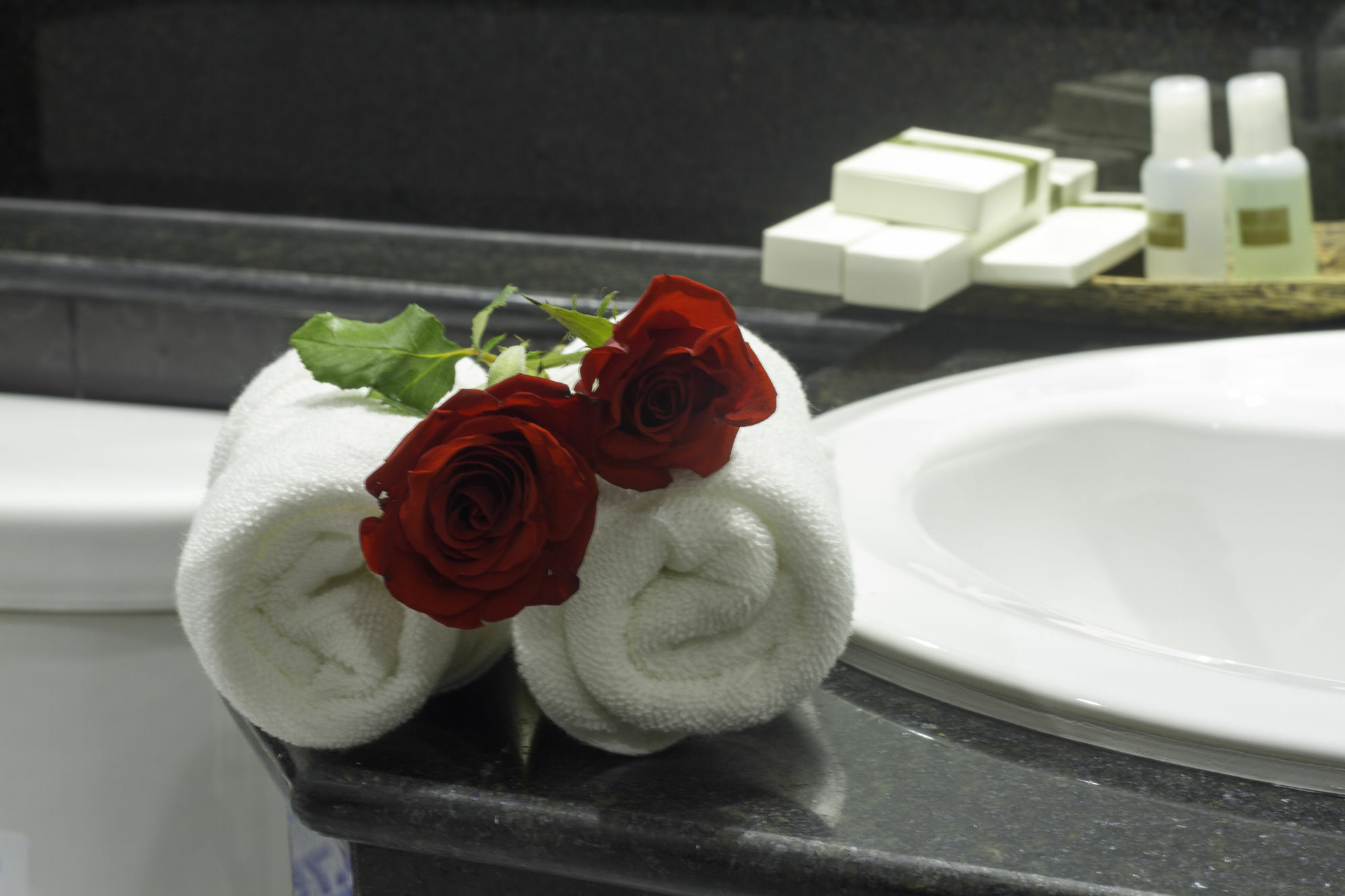 Rose Emerald Hotel Phnom Penh Dış mekan fotoğraf